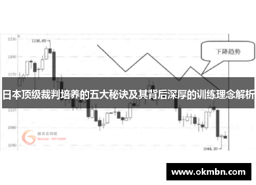 日本顶级裁判培养的五大秘诀及其背后深厚的训练理念解析