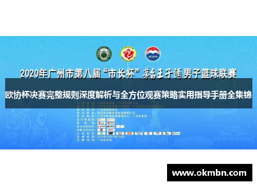 欧协杯决赛完整规则深度解析与全方位观赛策略实用指导手册全集锦