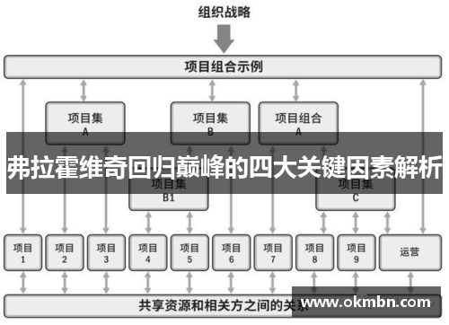 弗拉霍维奇回归巅峰的四大关键因素解析