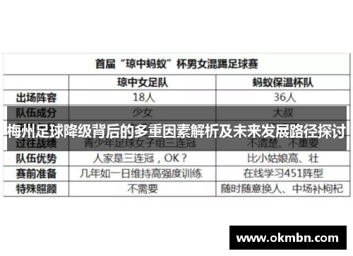 梅州足球降级背后的多重因素解析及未来发展路径探讨